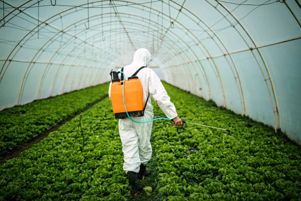 Best Emergency Pest Control  in Maugansville, MD