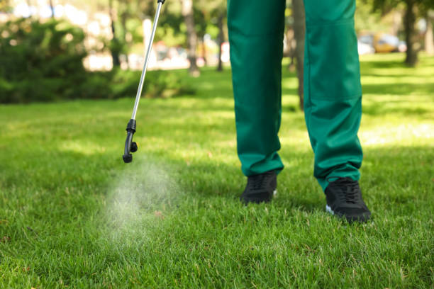 Best Ant Control Services  in Maugansville, MD
