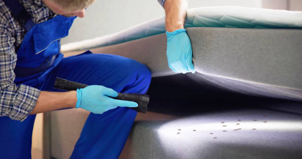 Trusted Maugansville, MD Pest Control Experts