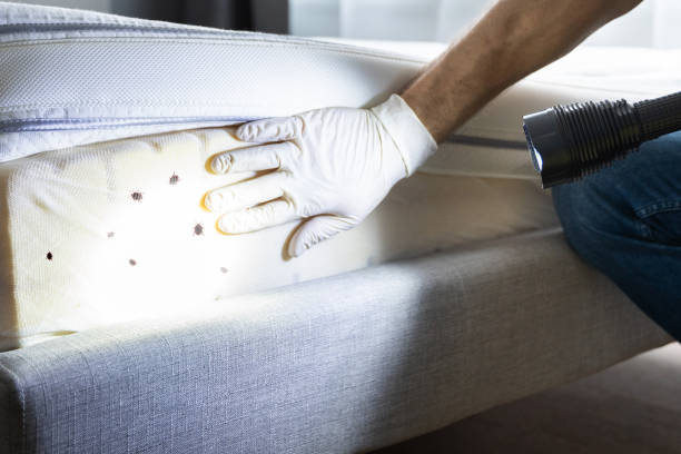 Best Rat Extermination Near Me  in Maugansville, MD