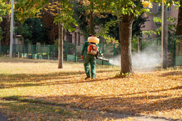 Best Pest Prevention Services  in Maugansville, MD