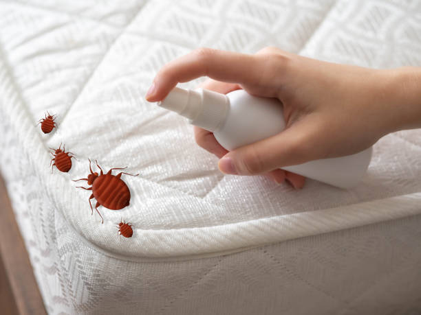 Best Pest Removal Services  in Maugansville, MD