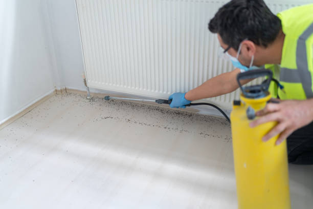 Best Emergency Pest Control  in Maugansville, MD